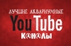 Аквариумски канали на youtube: најдоброто од најдобрите!