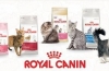 Асортиман и состав на храна за мачки royal canin