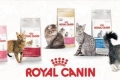 Асортиман и состав на храна за мачки royal canin