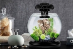 Преглед на aquarium tetra duo waterfall globe