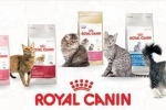 Асортиман и состав на храна за мачки royal canin